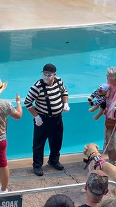 501K views · 10K reactions | So cute stuffed animal dress in mime costume for Tom the mime #fblifestyle | Sheramae Joyce Valera | Facebook