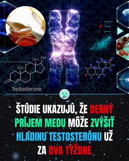 🍯 Med a testosterón: čo ukazuje veda? Med nie je len prírodné sladidlo. Výskum naznačuje, že môže pozitívne ovplyvňovať tvorbu testosterónu viacerými mechanizmami – cez hormonálnu reguláciu, ochranu buniek semenníkov a podporu steroidogenézy. Ide najmä o účinok jeho bioaktívnych látok a antioxidantov. 🗂️ Ako môže med podporovať testosterón 📑 Stimulácia LH (luteinizačný hormón) Med môže zvyšovať hladiny luteinizačného hormónu (LH), ktorý je hlavným signálom pre semenníky, aby aktivovali produk