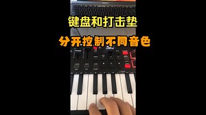 【中文教程】Oxygen Pro Mini如何把黑白键和打击垫分开控制不同音色