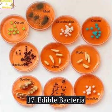 Halloween Science Experiment Ideas