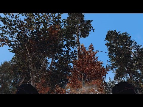 Video :: Fallout 4 Gameplay 2022 With LUXORS ENB And Pine Trees Forest