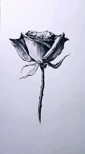 Advanced Rose Drawing Tutorial - Step by Step Guide for Beginners