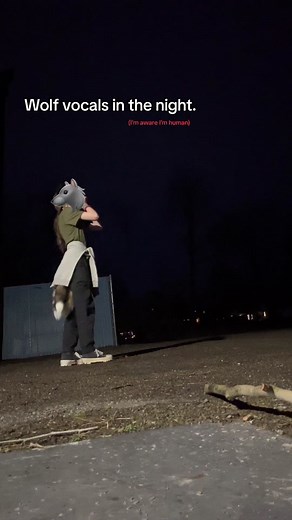 “As the lone wolf howls into the night desperately trying to find their pack they realize, they have been abandoned and the pack isn’t going to be coming back for them”-🐺🍄 #therian #quadrobics #fypシ #therianthropy #jump #therianpride #gay #highjump #awakendtherian #wolf #bucking #b00st #z00sarentvalid #nohate #hateneedstostop #plsdontflop #mask #theriansoftiktok #capcut