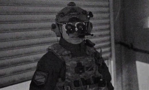 【WG】生化模式但僵尸开挂