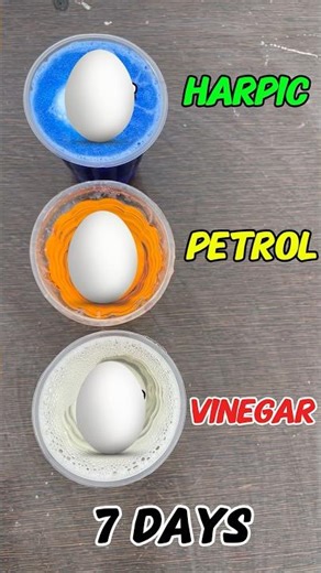 Egg & vinegar experiment🤩#shortsfeed #viralshorts