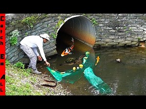 BUILDING a FISH TRAP from Only TEMU Parts!