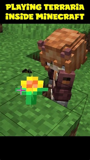 She’s In Love With This Modpack 😍 #minecraft #terraria