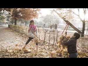 A World Without Trees