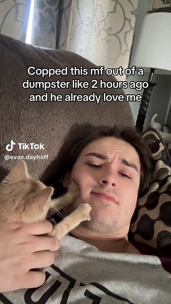 Universal cat distribution system at work i guess