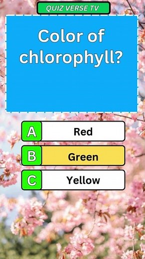 Can You Answer These 3 General Knowledge Questions?