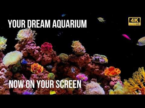 🧘‍♂️ Serene 4K Aquarium: 12-Hour No-Music Fish Tank for Ultimate Relaxation & Deep Sleep