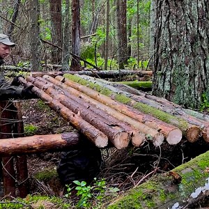 70K views · 1.2K reactions | Constructing a shelter to survive when bushcraft camping in the forest without a sleeping bag and tent. | Camping videos Survival | Facebook