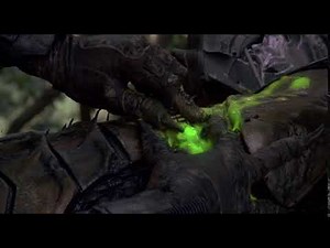 Predator 1 - Predator scream