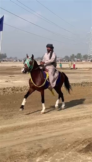 Dilbar Jani son of fakhry sindh best single footer#balochi#sindhi#