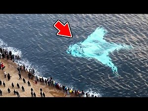 42 Incredible Scenes from Around the World Captured on Camera!