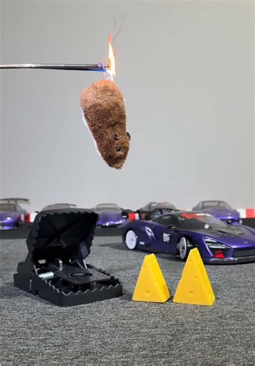 Catch a Mouse with RC Drift Cars!