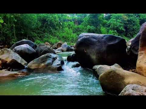 12 Hours of Peaceful River Flowing Water – Natural Ambience