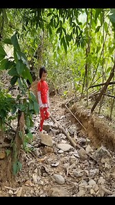 The child went to pick up wild pineapples to sell | ZacheryOfficial