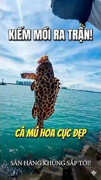 Chỉ Là Đi Kiếm Mồi Mà Lên Toàn Siêu Phẩm – Cá Mú Trân Châu "Hết Nước Chấm".