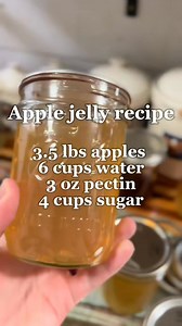 129K views · 1K reactions | Fresh apple jelly on warm sourdough bread is SO delicious.  #applejelly #apples #applepie #canning #canningandpreserving #canningseason #homesteadmama #theeastonhomestead #recipeoftheday #homesteader #FarmToTable #homesteading #applepierecipe #applepickingseason #recipe | Hannah Easton | Facebook