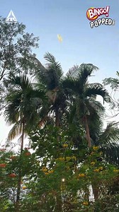 One bite and you’re on cloud snack, floating, munching, and downright irresistible just like the best daydreams. | Bingo!