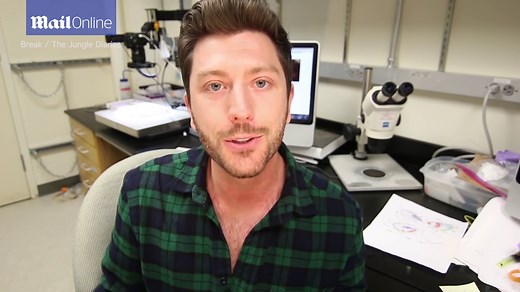 Extraordinary footage of the protected 'silkhenge' spider birth