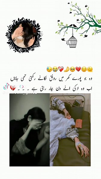 Understanding Creator Account Freezing Issues