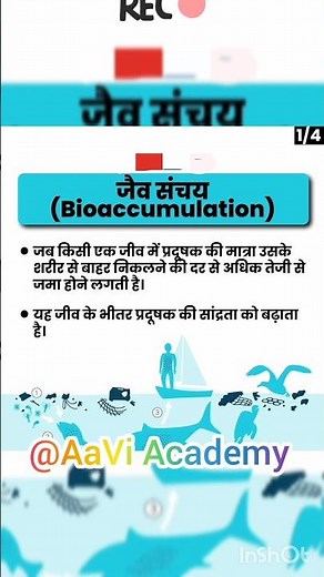 What is Bioaccumulation and Biomagnification? #trending #viral #education #gk #upsc #environment #gs