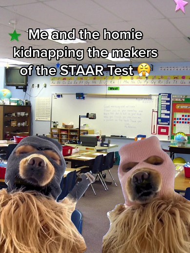 It be like that 🤷🏻‍♂️💀 #staartest #staarmath #staarreview #staar2023 #tiktokmath #texasmathteacher #4thgrademath #3rdgrademath #6thgrademath #8thgrademath