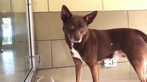 16 reactions · 89 shares |  EUTHANIZED Aug 16: going on 50 days at...