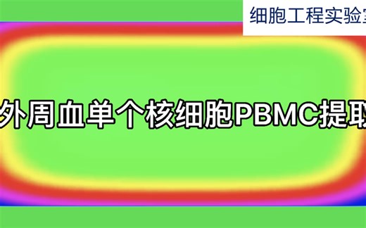 PBMC提取外周血单个核细胞的提取分离