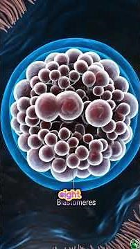 How Life Forms: Scientific 3D Breakdown