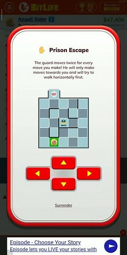 Bitlife Prison Escape 5x5 #2