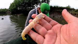 49K views · 51 shares | Catch and Cook: Kakaibang Seafood na nahuhuli sa Capiz | CAbeaches | Facebook