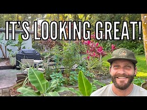 Backyard Garden Tour: A Beautiful Oasis You'll Love