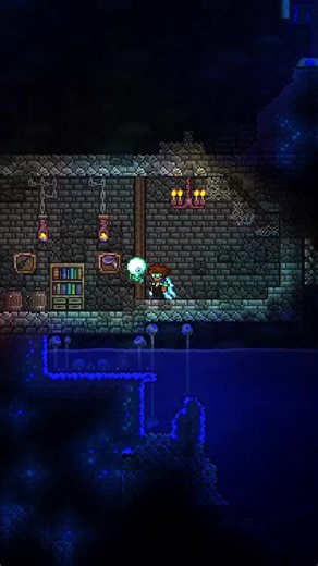 #viral #tut #terraria #build | Terraria