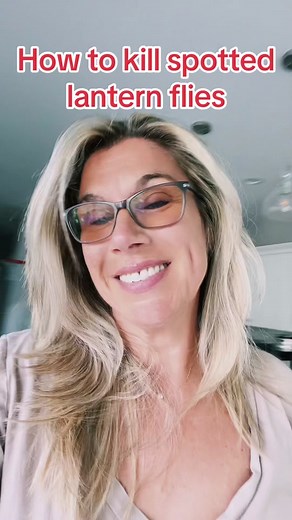 Just another way to kill a spotted latern fly #laternflyinvasion #lanternflycrushed #lanternfliesofnj #ihatelanternflies #spottedlanternfly #spottedlanternflies #spottedlanternflynj #genx #genxwomen #workfromhome #singlemomlife