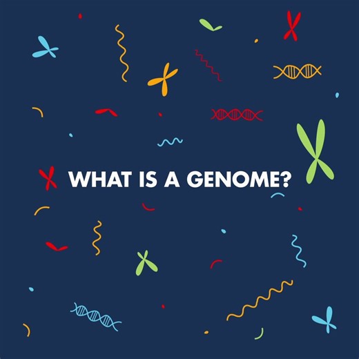 Your genome helps make you unique. | New York Genome Center