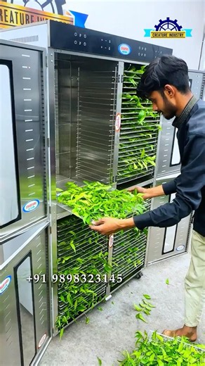 🌿 Neem Powder Manufacturing Business | Machine & Plant Setup