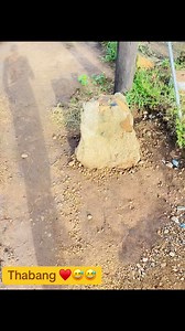 Thabang swa xikolo von'wi dyohela anga leka swona | Gaza News