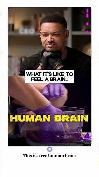 HAVE YOU EVER HELD A HUMAN BRAIN? 🧠