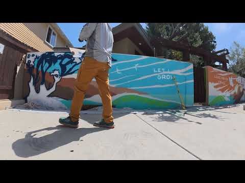 🎨 Art in Motion: Skye Walker Mural Time-Lapse