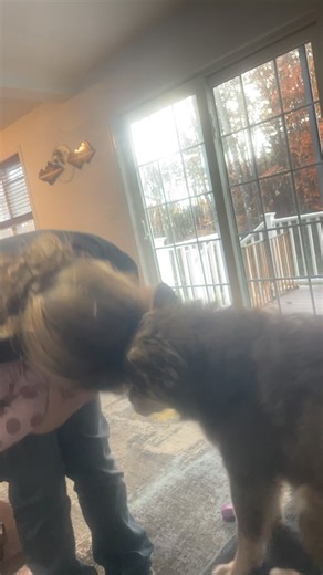 Laura Johnson on Reels