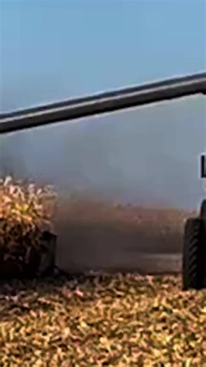 Looking back at harvest in Redwood County — Siefert’s Farms wrapped up strong! From combining to baling corn stalks, this operation kept things moving until the very end. Thanks to Siefert’s Farms for trusting Ziegler equipment to help finish the season. #HarvestRecap #SiefertsFarms #CornHarvest #ZieglerAg #AGCO | Ziegler Ag Equipment