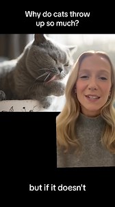 3.7K views · 19 reactions | Why do cats throw up so much? | LiveScience | Facebook