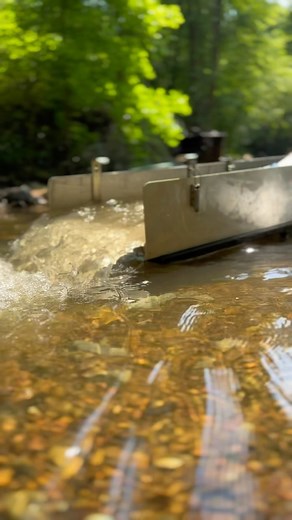 11K views · 85 reactions | Amazing NC Gold #gold #goldprospecting #goldminingequipment #goldmine #dredge #goldrush #prospecting #diggingforgold #paydirt #mining #goldpan #panning #panningforgold #goldpanning | X4Prospecting | Facebook