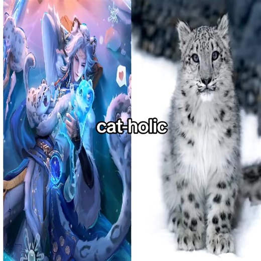 snow leopard videos from @bofpm #HOK #snowleopard #hokstudio #honorofkings #cat