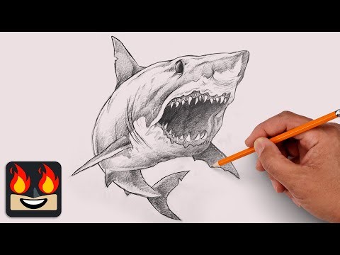 How To Draw a Great White Shark | Sketch Tutorial (Step-by-Step)
