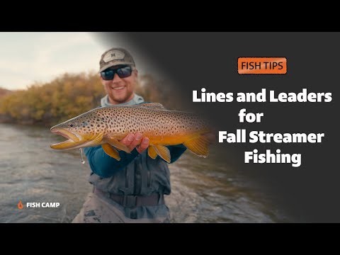 Fall Streamer Fishing - Line and Leader Rigs for Different Situations
