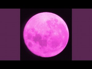 Stardust (Piano & Strings)